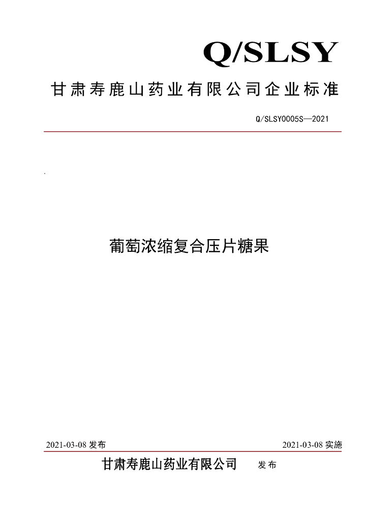 Q/SLSY 0005S-2021 标准预览
