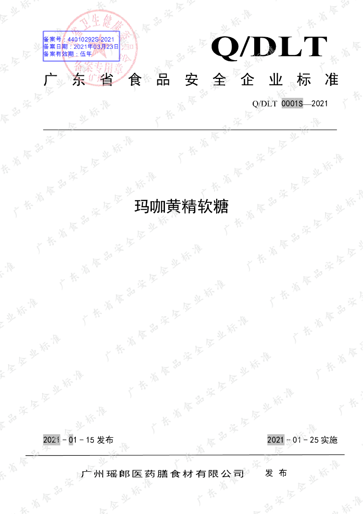 Q/DLT 0001S-2021 标准预览