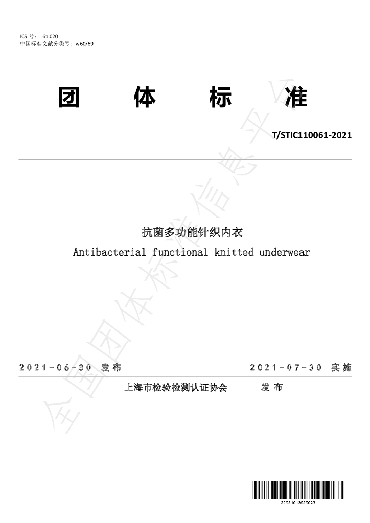 T/STIC 110061-2021 标准预览