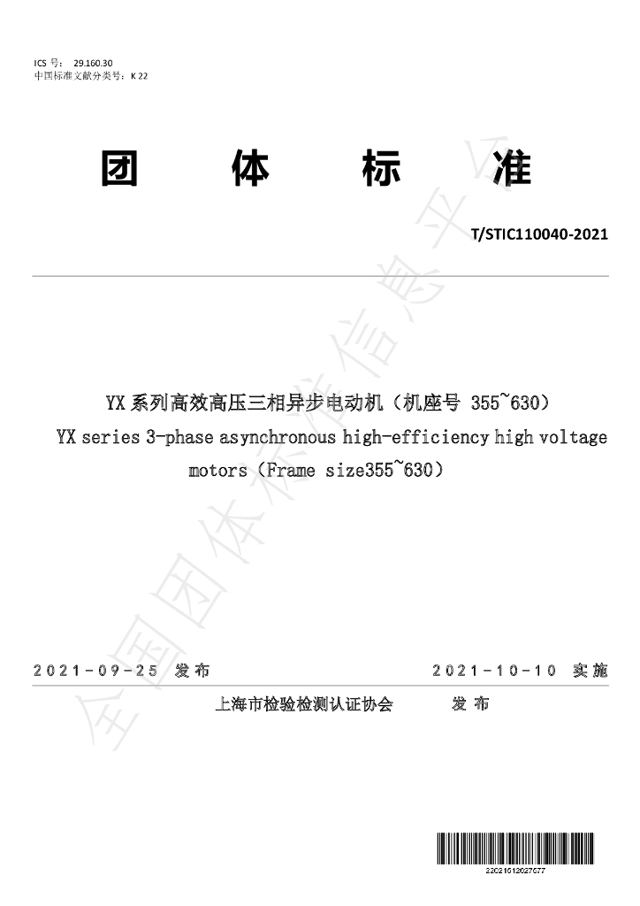 T/STIC C110040-2021 标准预览
