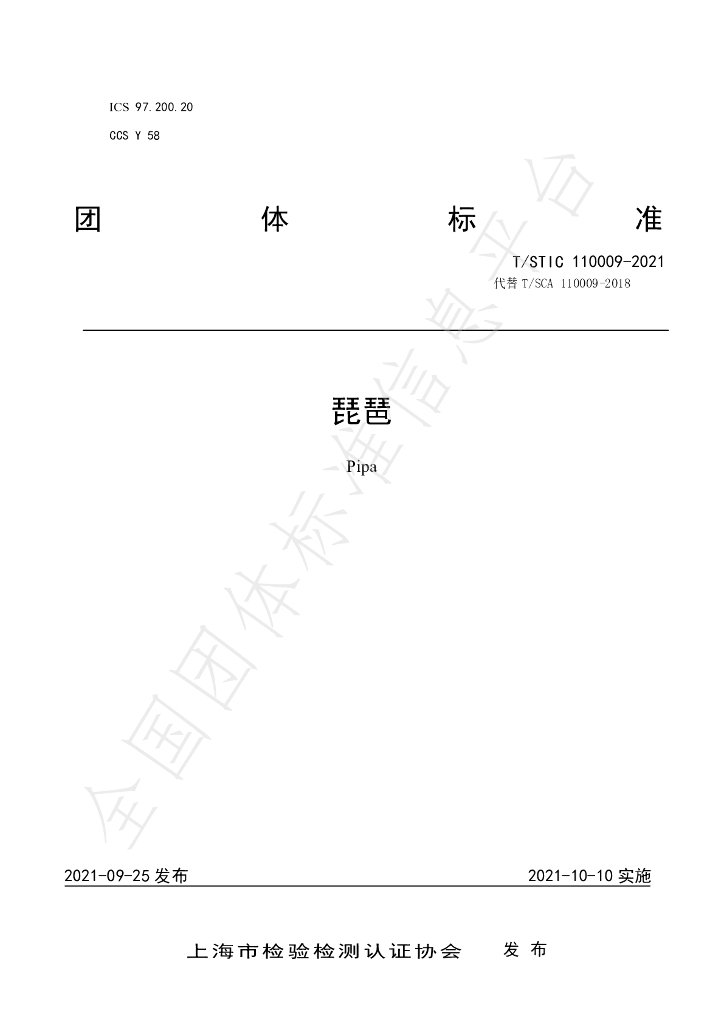 T/STIC 110009-2021 标准预览