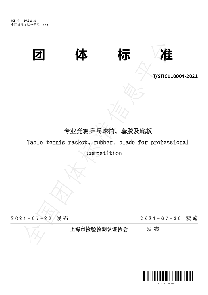 T/STIC 110004-2021 标准预览