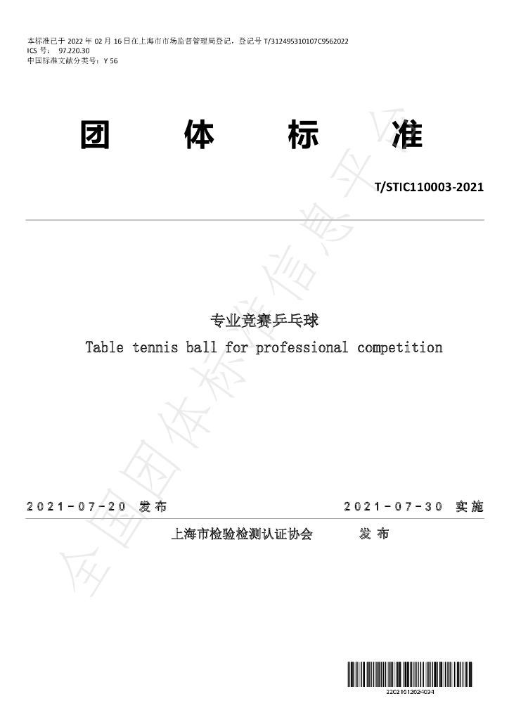T/STIC 110003-2021 标准预览