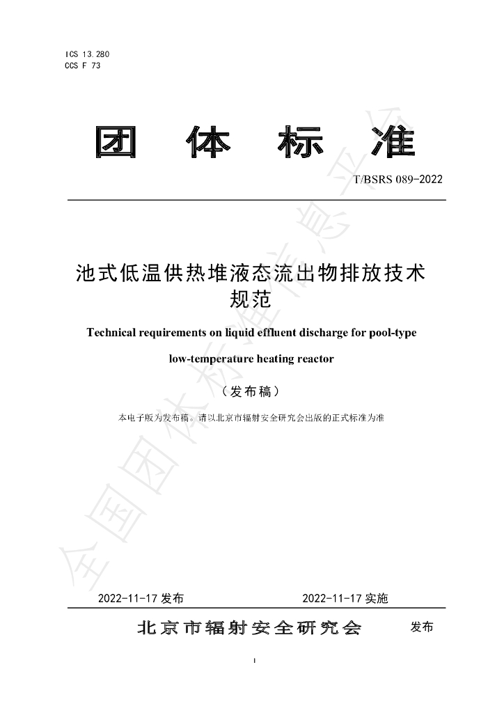 T/BSRS 089-2022 标准预览