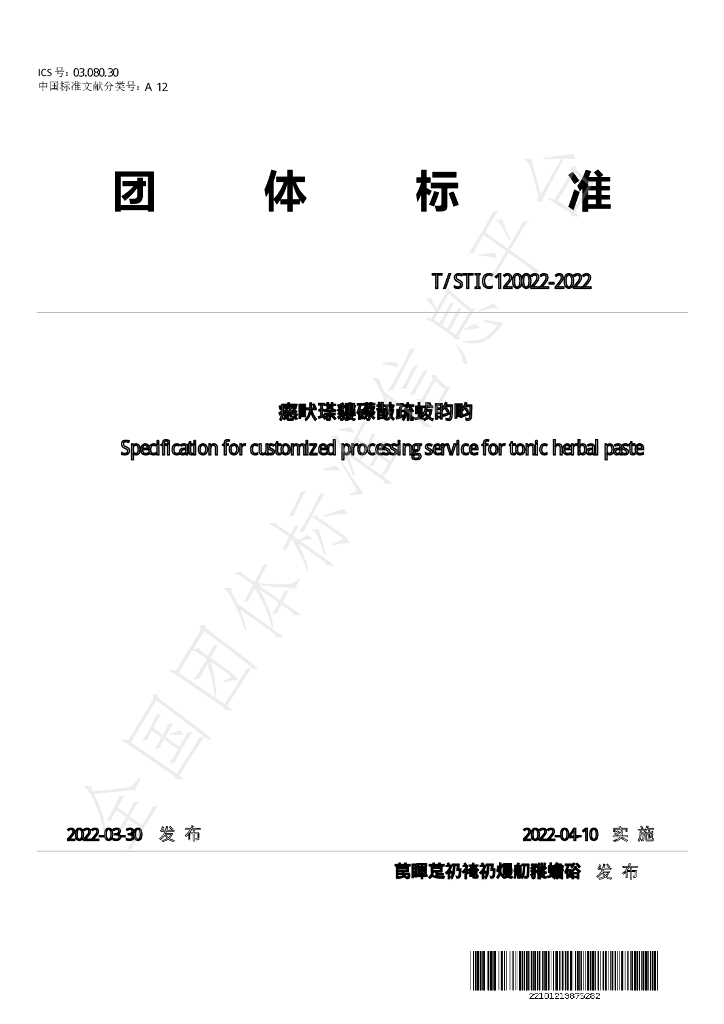 T/STIC 120022-2022 标准预览