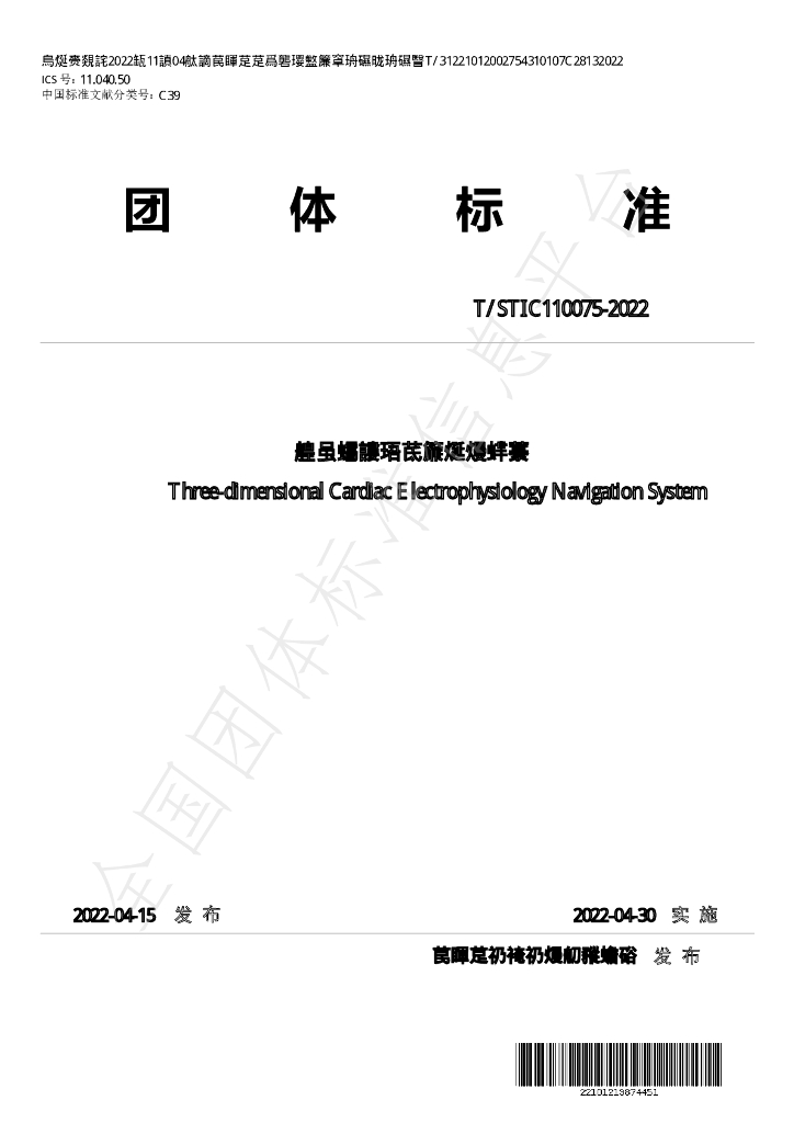 T/STIC 110075-2022 标准预览