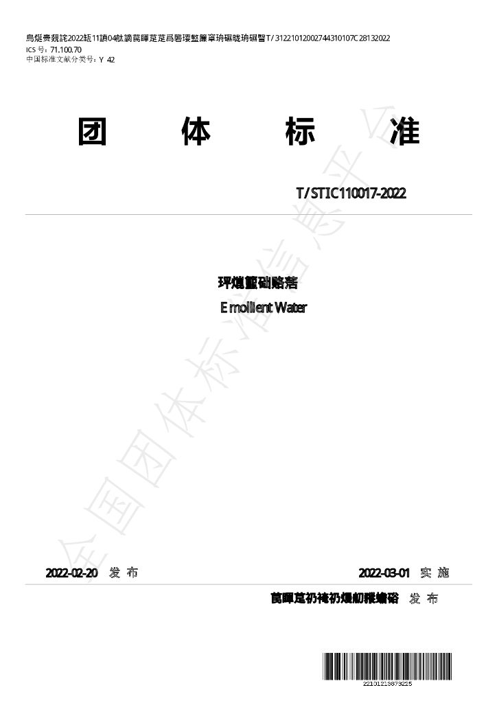 T/STIC 110017-2022 标准预览