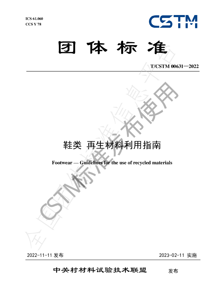 T/CSTM 00631-2022 标准预览