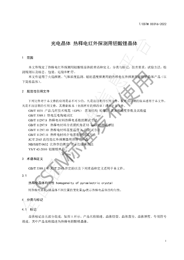 T/CSTM 00316-2022 标准预览
