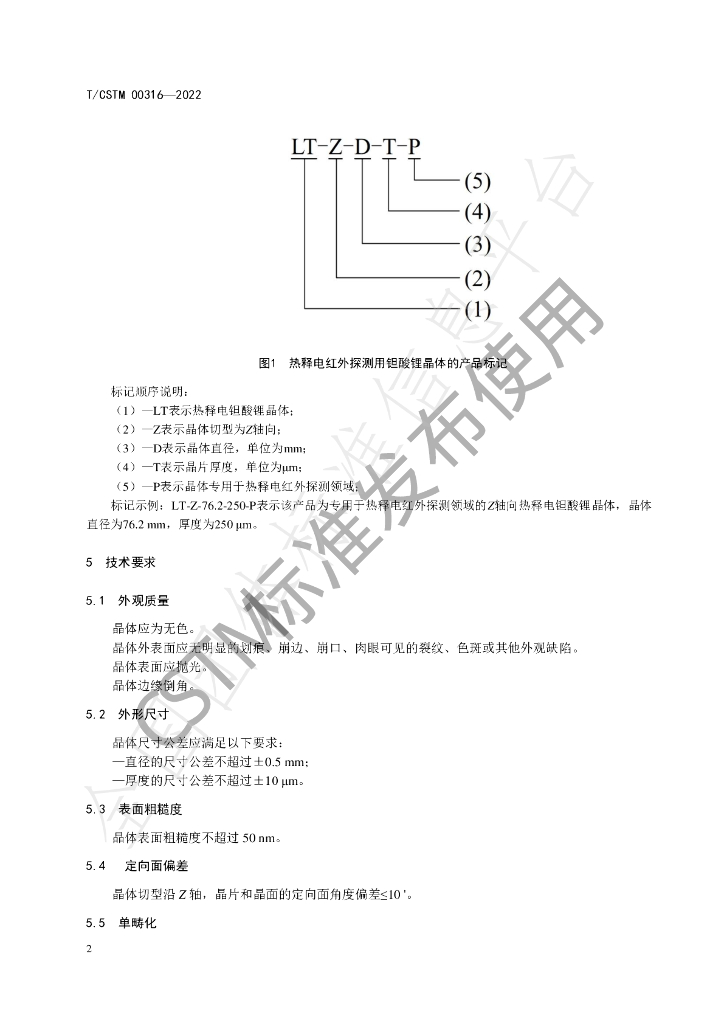 T/CSTM 00316-2022 标准预览