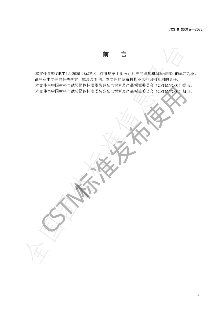 T/CSTM 00316-2022 标准预览