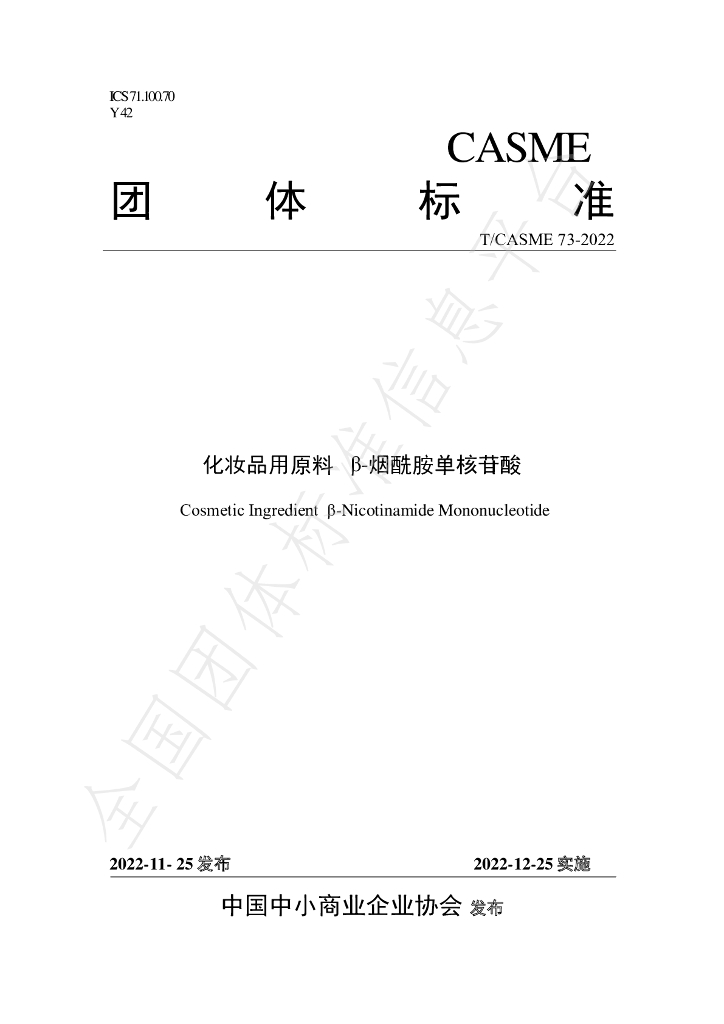 T/CASME 73-2022 标准预览