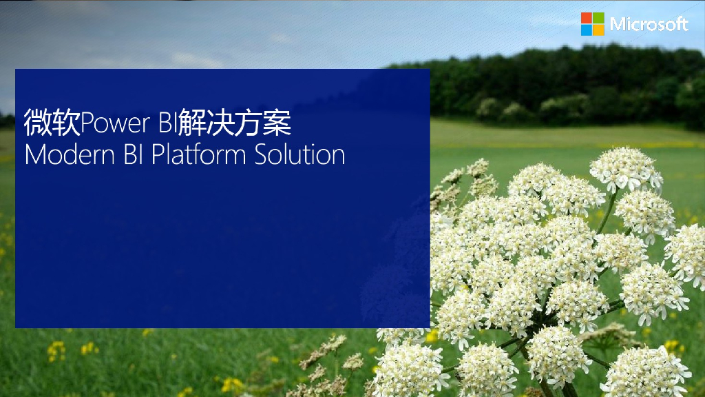 微软Power BI解决方案介绍