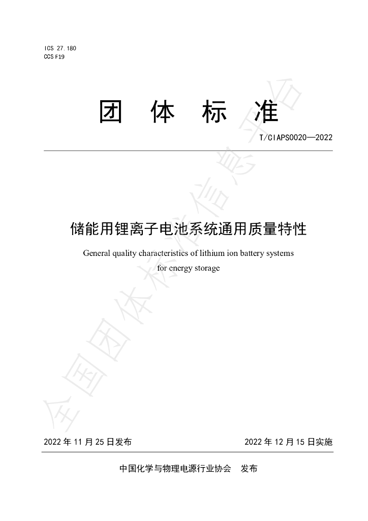 T/CIAPS 0020-2022 标准预览