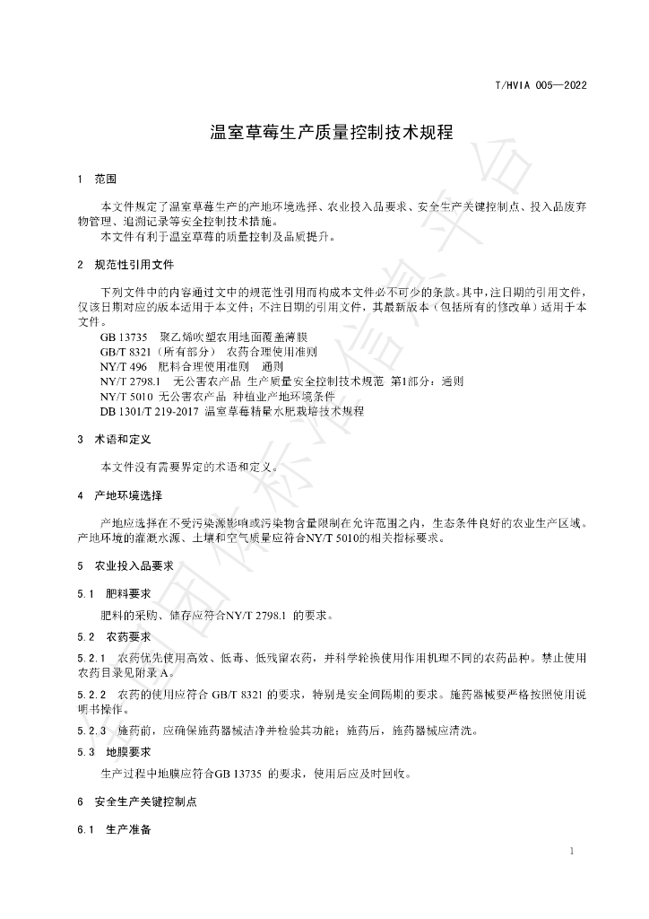 T/HVIA 005-2022 标准预览