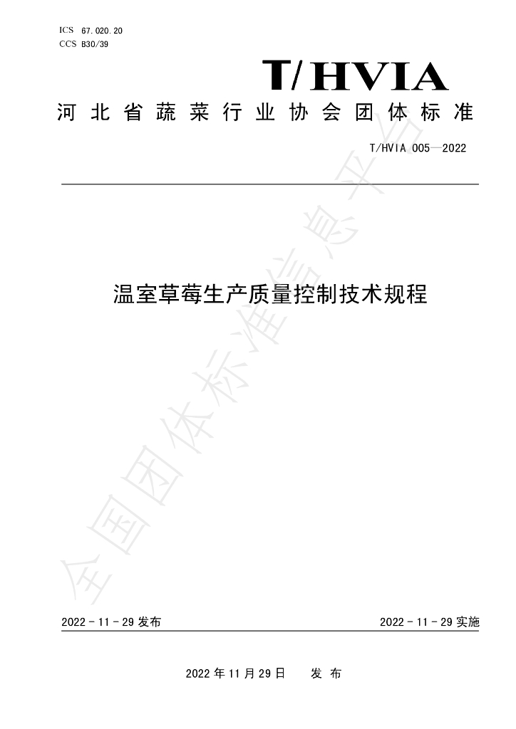 T/HVIA 005-2022 标准预览