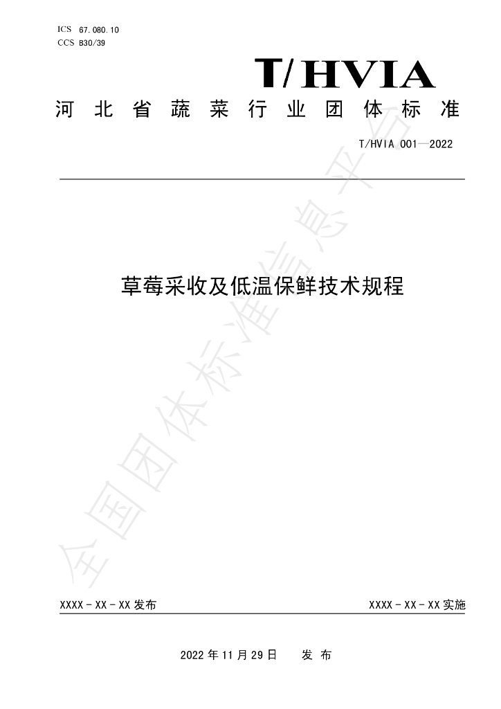 T/HVIA 001-2022 标准预览