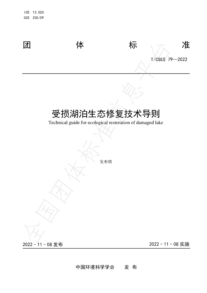 T/CSES 79-2022 标准预览