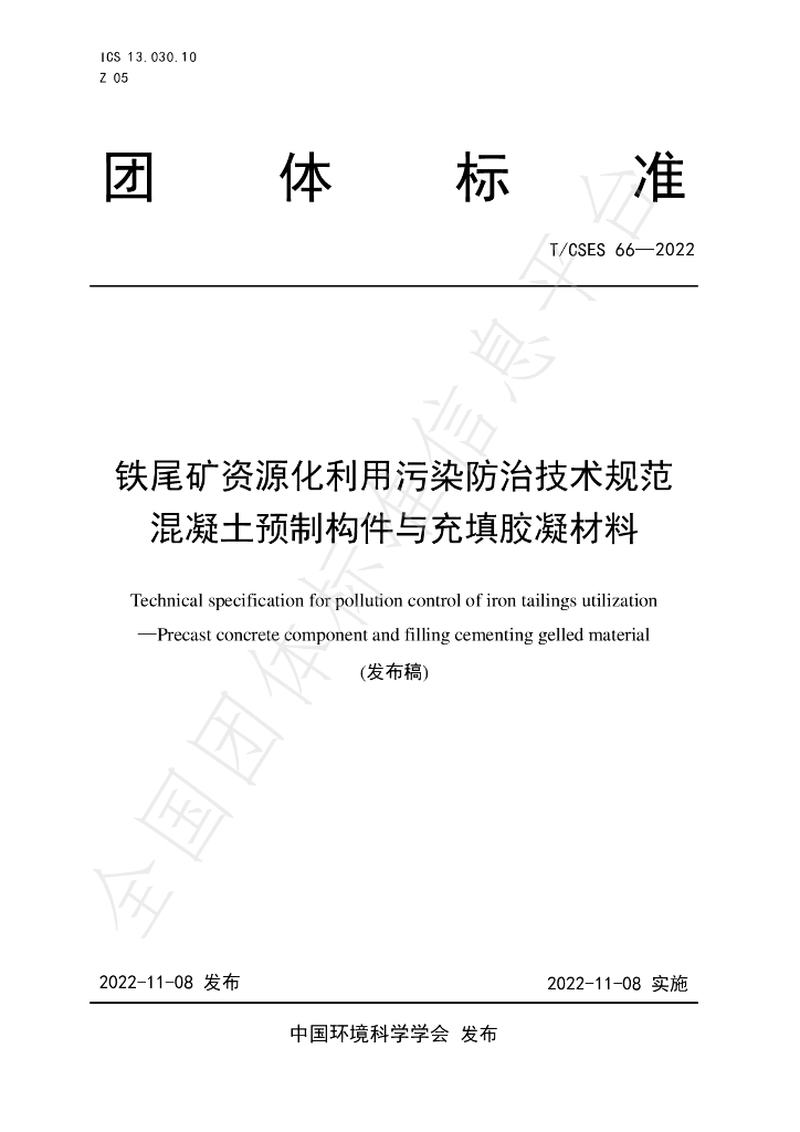 T/CSES 66-2022 标准预览