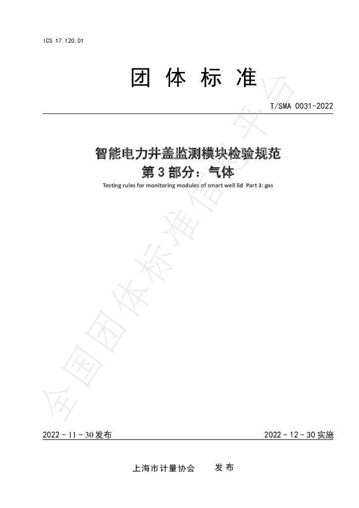 T/SMA 0031-2022 标准预览