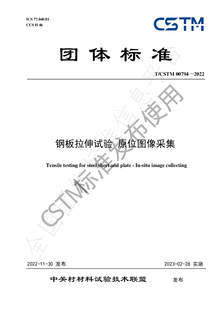 T/CSTM 00794-2022 标准预览