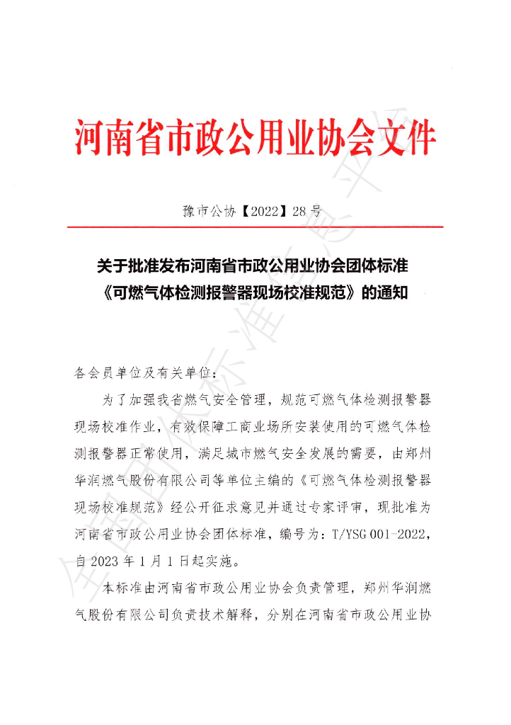 T/YSG 001-2022 标准预览