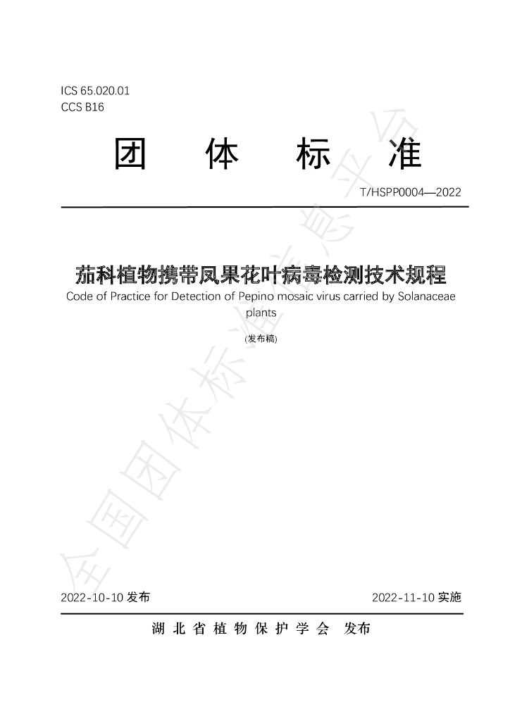 T/HSPP 0004-2022 标准预览
