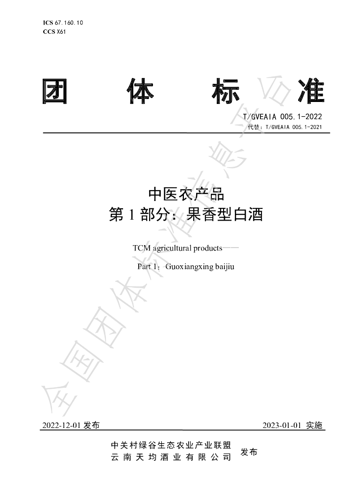 T/GVEAIA 005.1-2022 标准预览