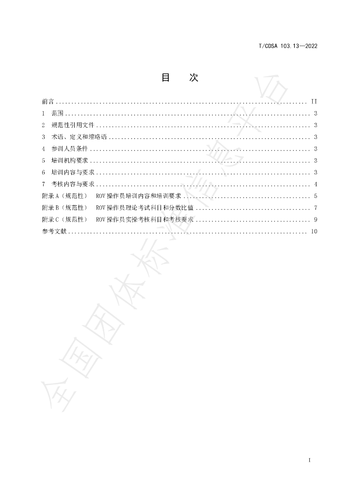 T/CDSA 103.13-2022 标准预览