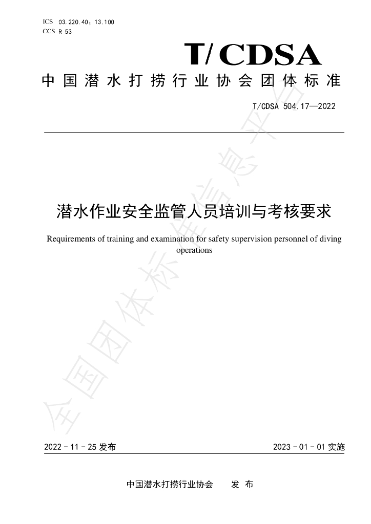 T/CDSA 504.17-2022 标准预览