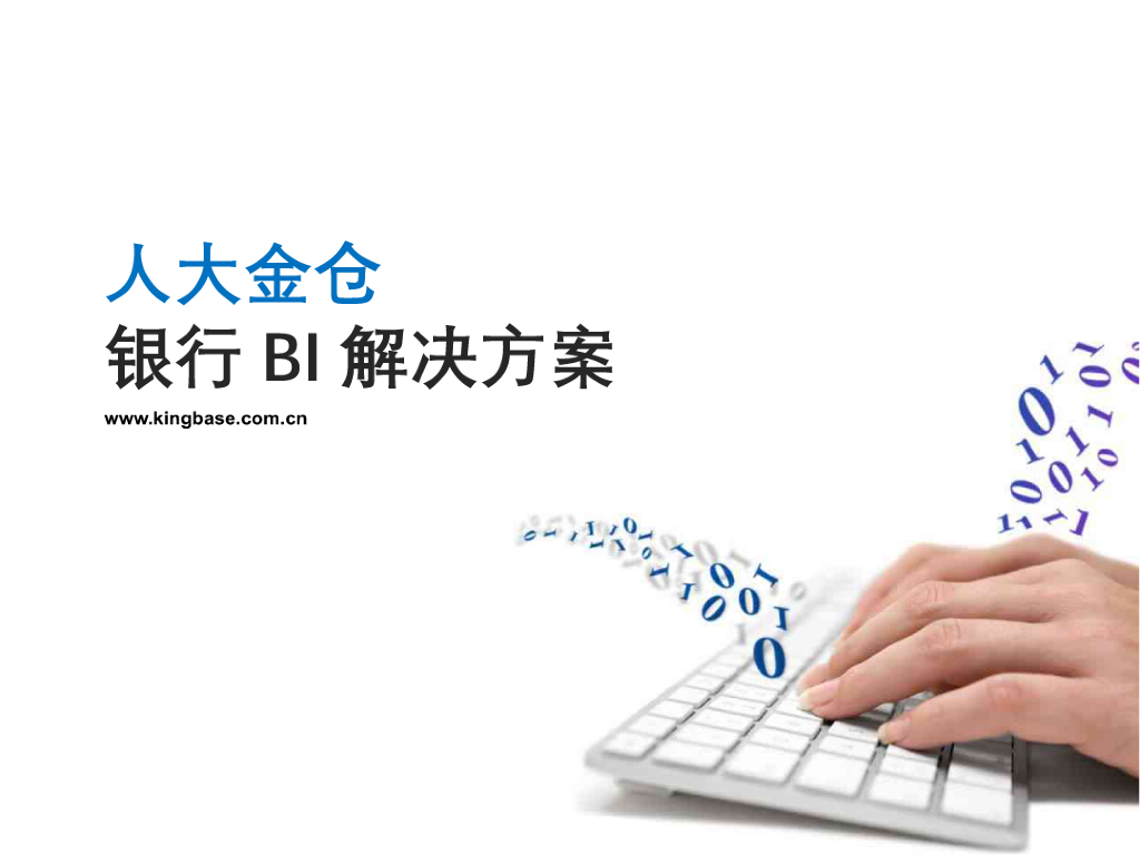 人大金仓银行BI解决方案