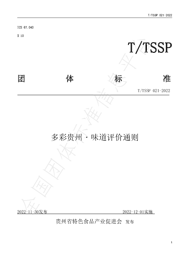T/TSSP 020-2022 标准预览