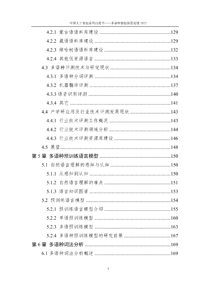 中国人工智能协会：2022中国人工智能系列白皮书——多语种智能信息处理_第6页