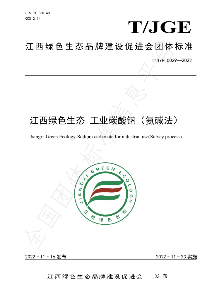 T/JGE 0029-2022 标准预览