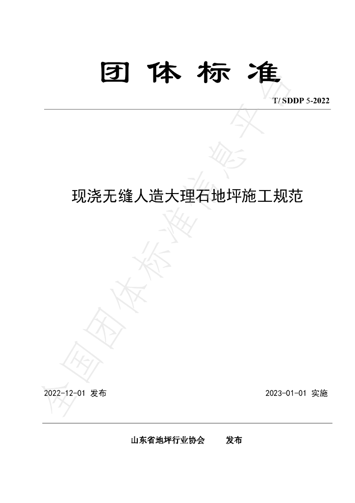 T/SDDP 5-2022 标准预览