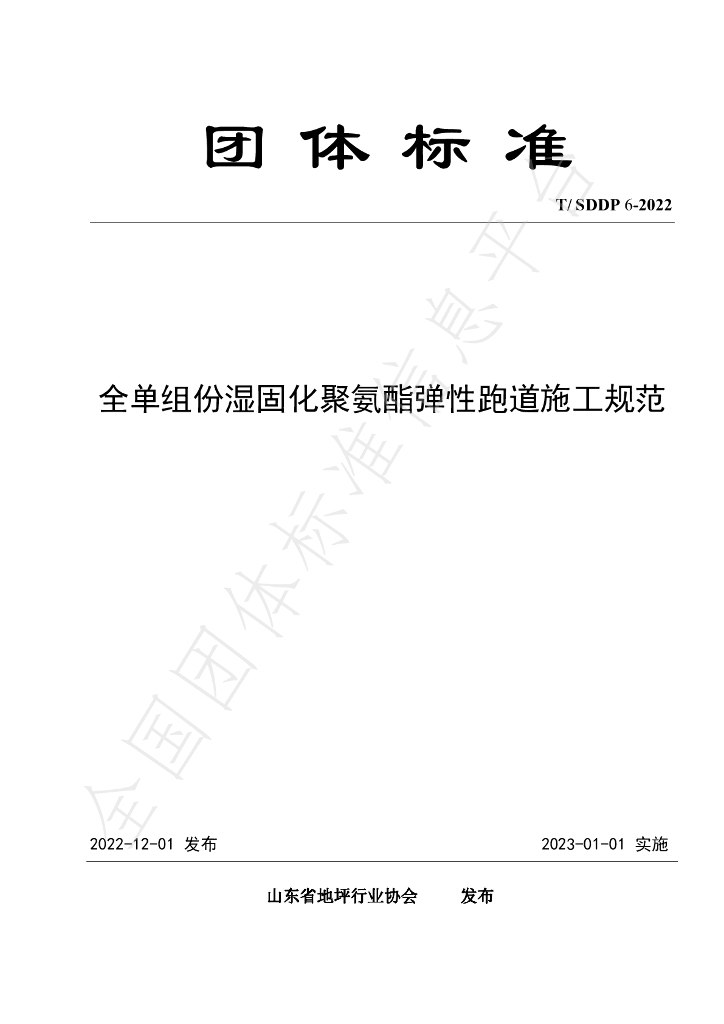 T/SDDP 6-2022 标准预览
