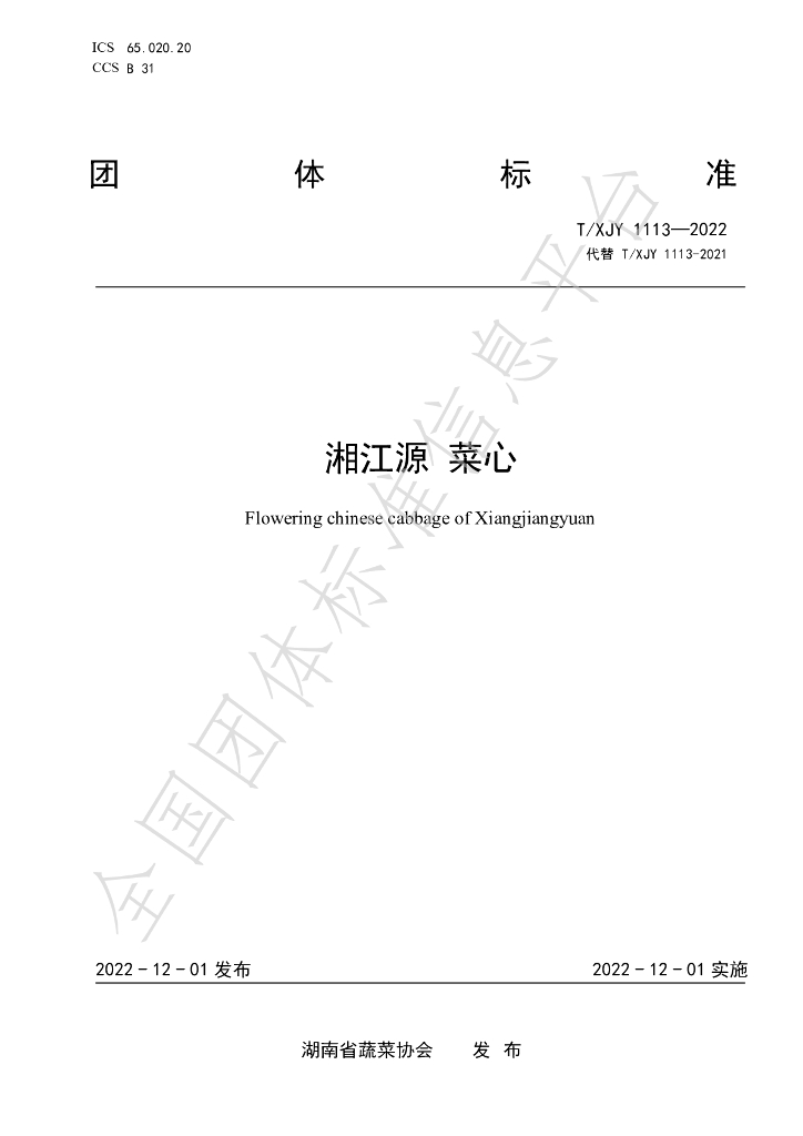 T/XJY 1113-2022 标准预览