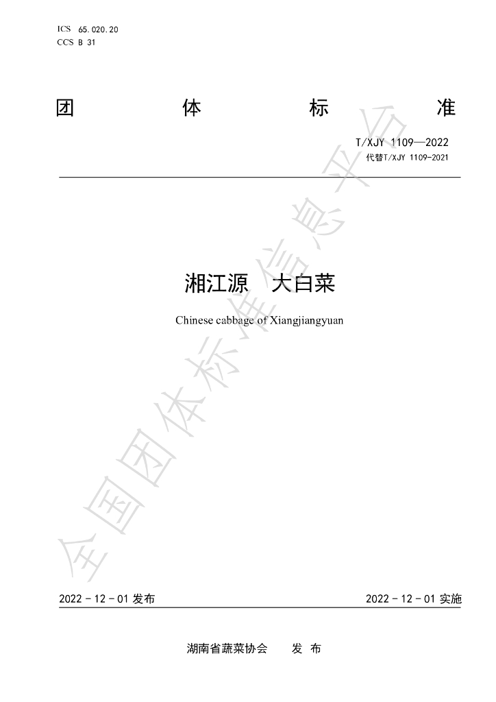 T/XJY 1109-2022 标准预览