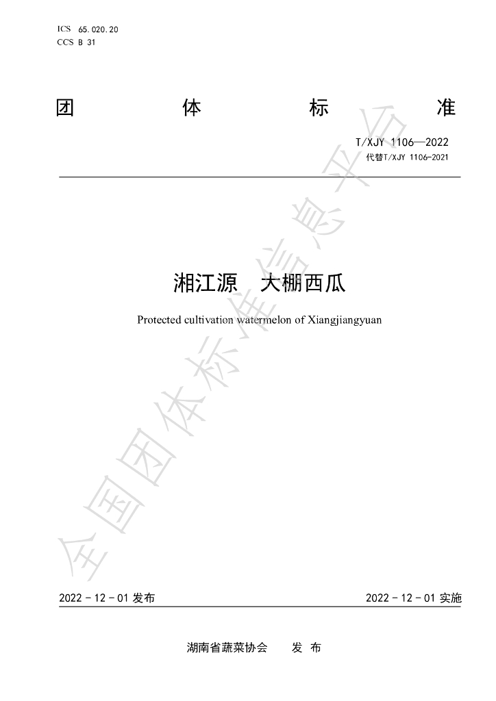 T/XJY 1106-2022 标准预览