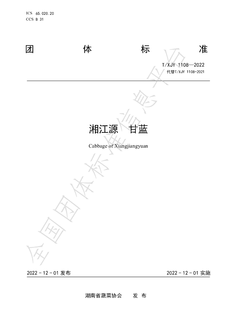 T/XJY 1108-2022 标准预览