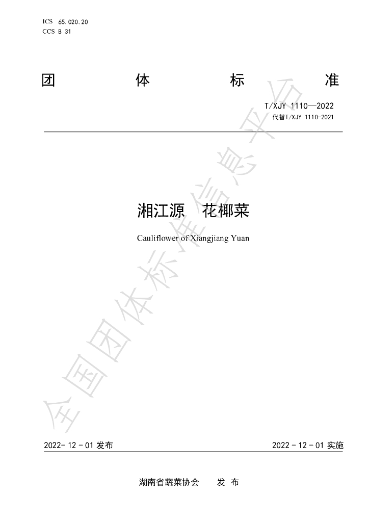 T/XJY 1110-2022 标准预览
