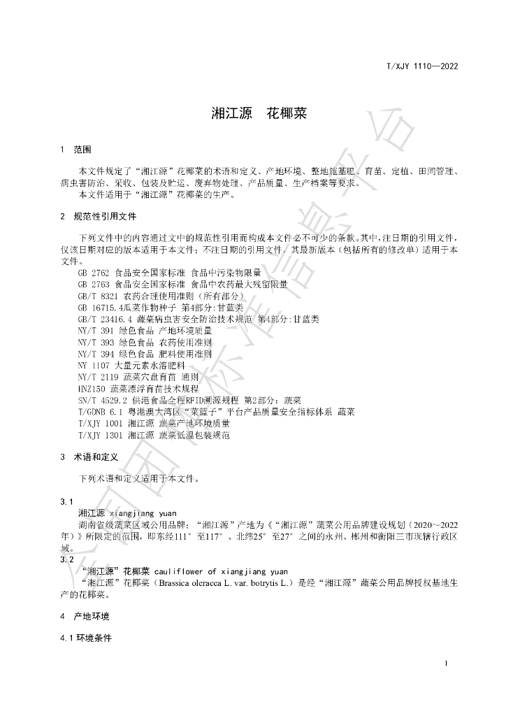 T/XJY 1110-2022 标准预览
