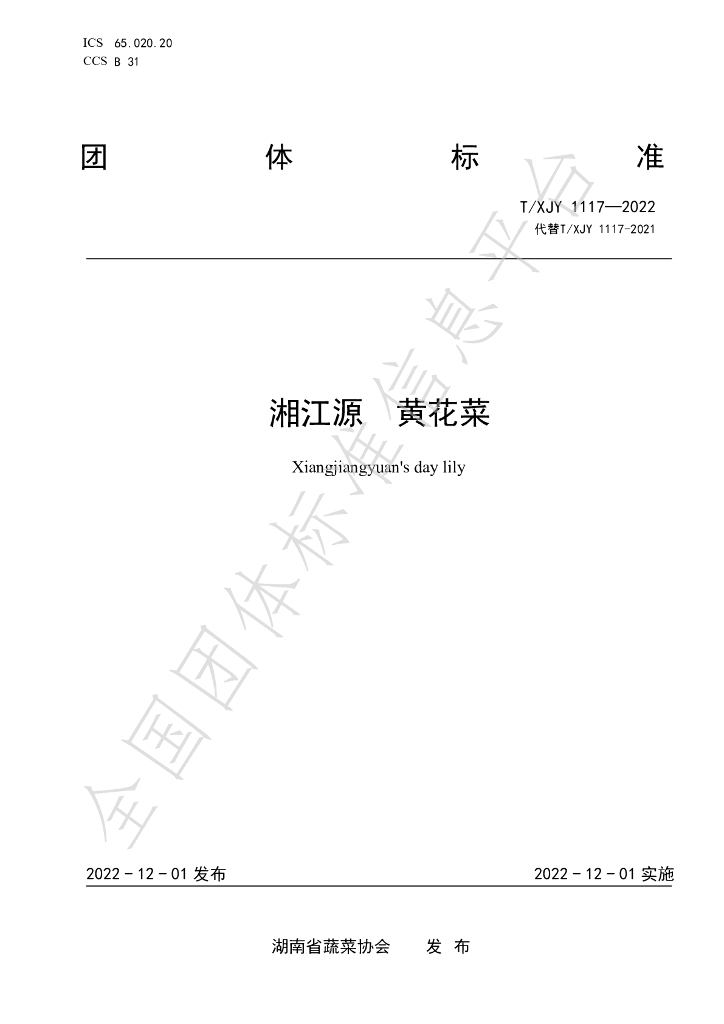 T/XJY 1117-2022 标准预览
