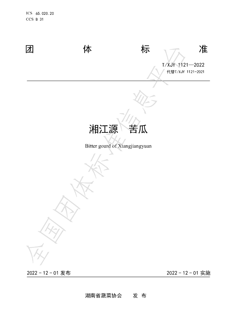T/XJY 1121-2022 标准预览