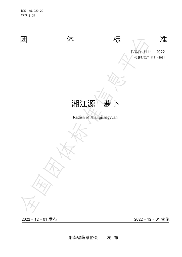 T/XJY 1111-2022 标准预览