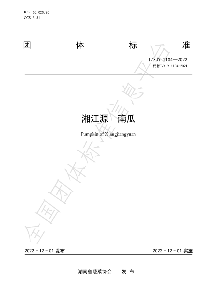 T/XJY 1104-2022 标准预览