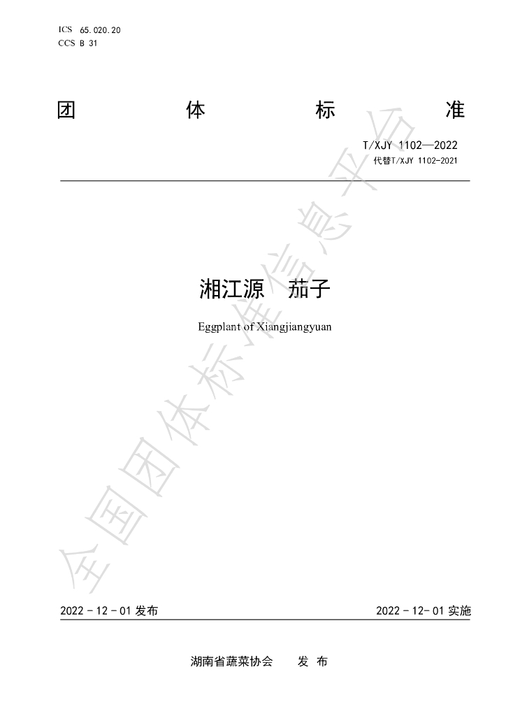 T/XJY 1102-2022 标准预览