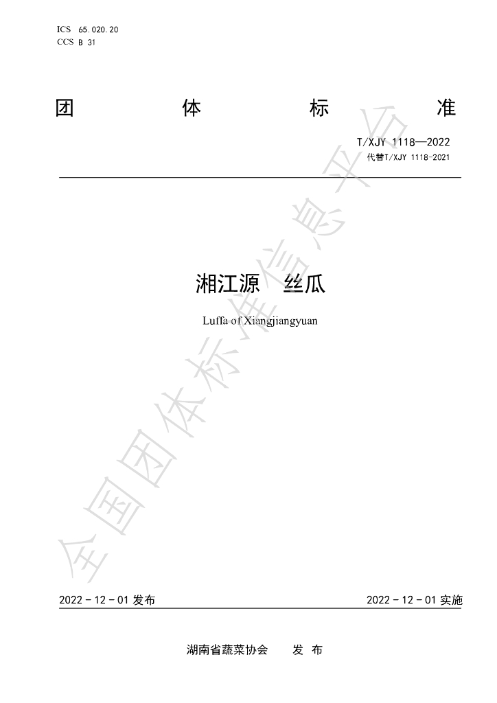 T/XJY 1118-2022 标准预览