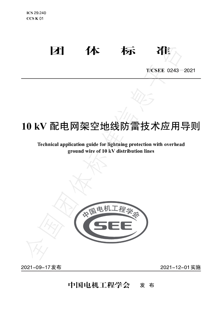 T/CSEE 0243-2021 标准预览