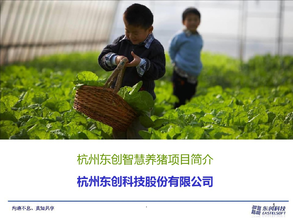 杭州东创智慧养猪项目简介